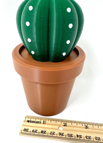 Cactus storage container