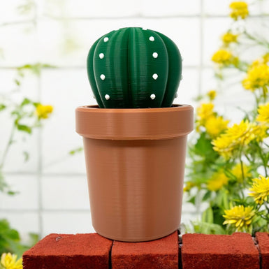 Cactus storage container